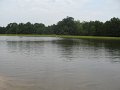 IMG_5867