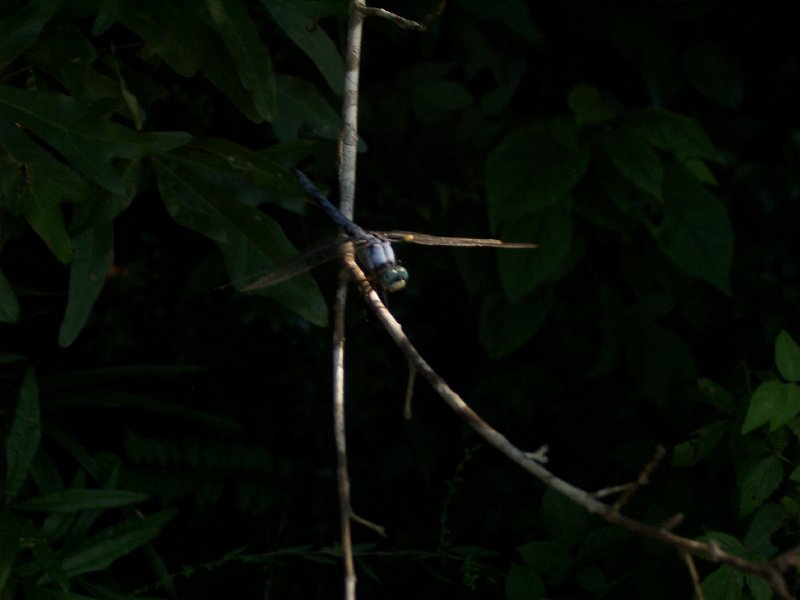 100_5856.JPG